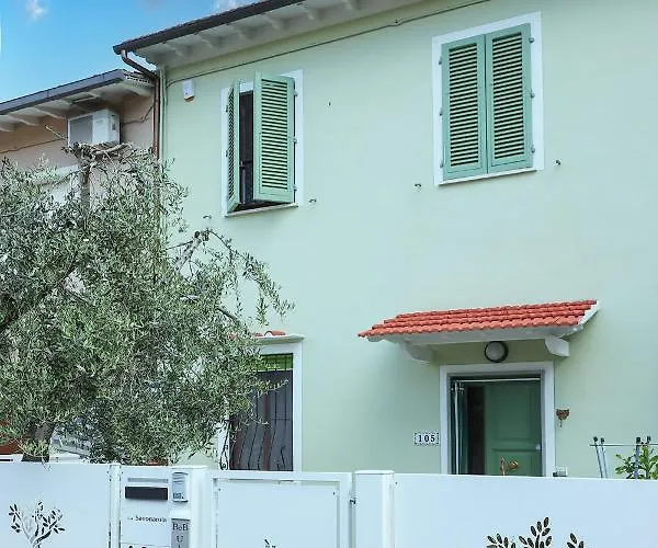 B&B Ulivo Gaio San Miniato photo