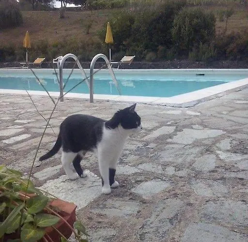 Badia a Ruoti La Casina Di Tina 아파트 사진
