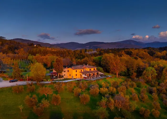 Tenuta Risalpiano Pelago photo