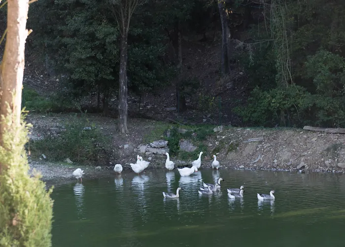 Tenuta La Bandita Sassetta photo