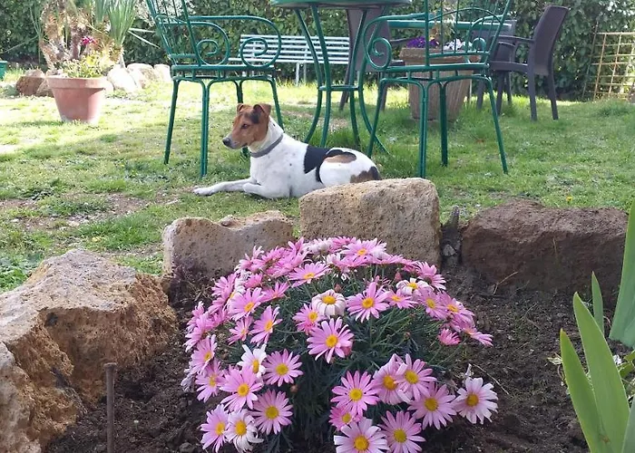 Photo de Bed and Breakfast La Cascina Della Grotta Di Tufo à San Valentino 