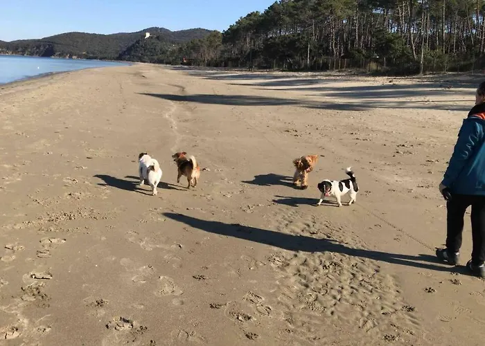 Agriturismo Il Sorbino - Appartamento Da Cocca Pian d'Alma photo