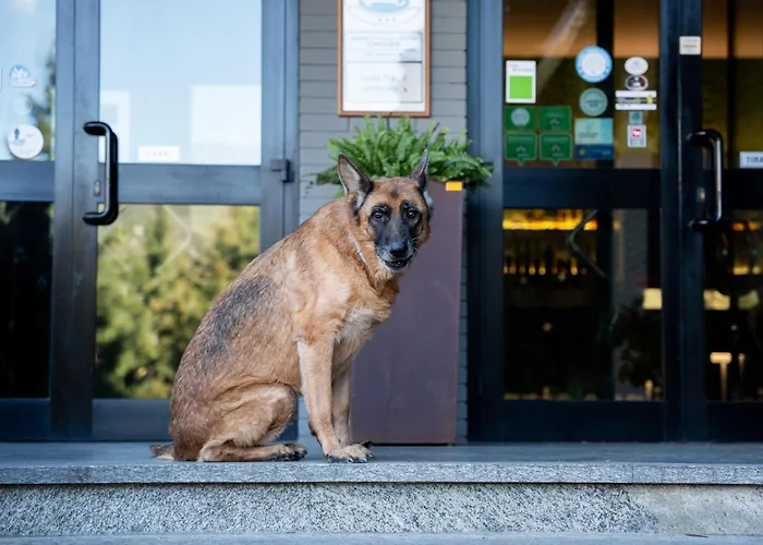 Ecohotel Ristorante Milano ボルゴ・ア・モッツァーノの写真