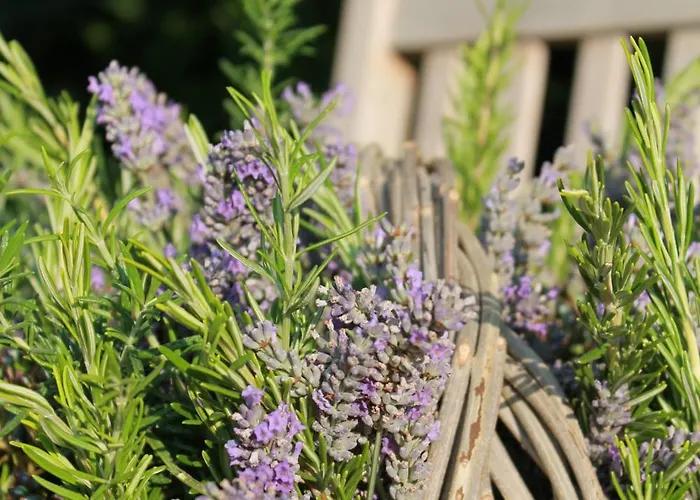 La Saracina Hotell Pienza foto