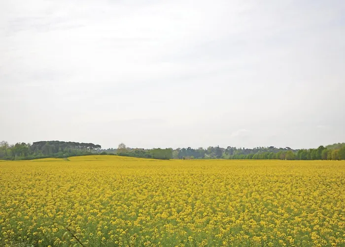 Nice Apartment In Marti Pi With Wifi photo