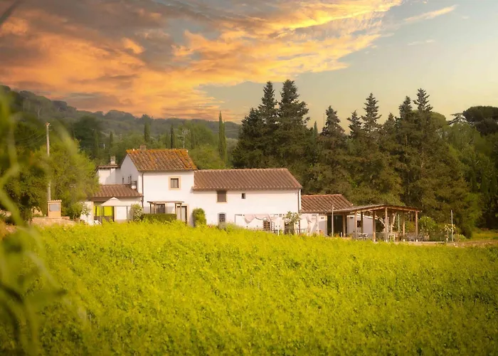 Azienda Agricola I Colli Di Marliano Lastra a Signa photo