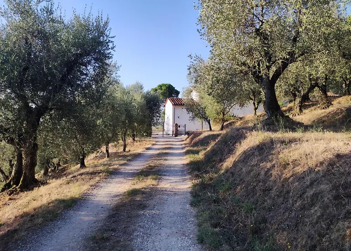 Da Poldino Hotel Borgo a Buggiano photo