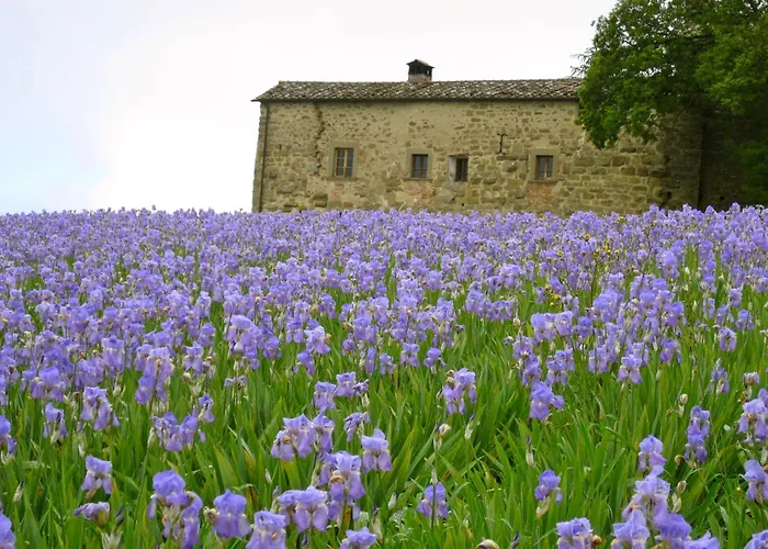Castello Di Pianettole 3 Camere Da Letto Matrimoniali Anghiari Foto