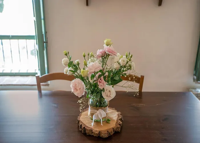 Appealing Apartment In Collesalvetti With Garden Nugola zdjęcie