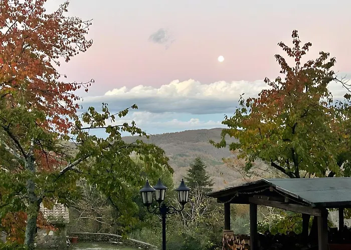 Historic Farmhouse Casa Del Chiodo Torniella photo