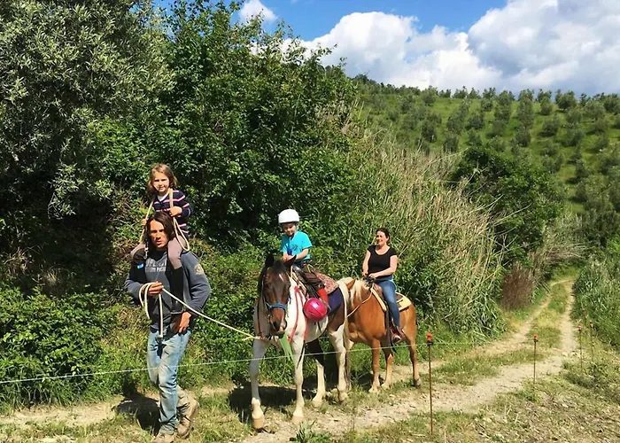 Agriturismo Antico Loggiato Pontassieve fotoğrafı