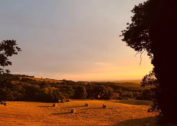 Hotel Il Poggetto 카스텔리나마르티마 사진