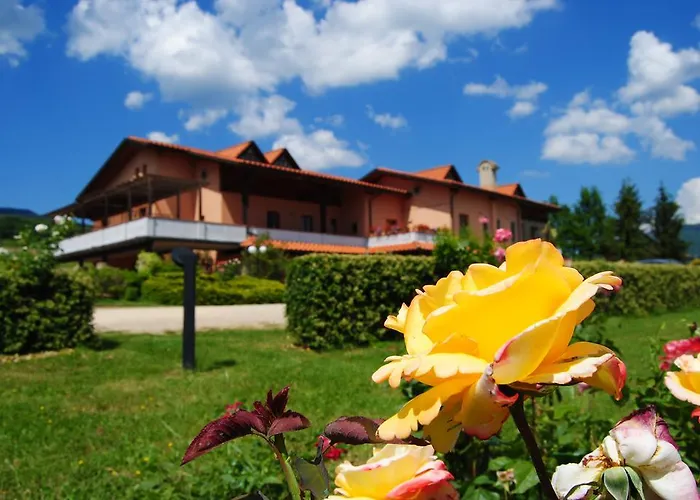 Hotel Le Greti Soci photo