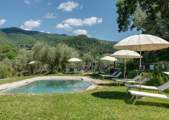 Agriturismo Podere Le Pialle Pontassieve Foto