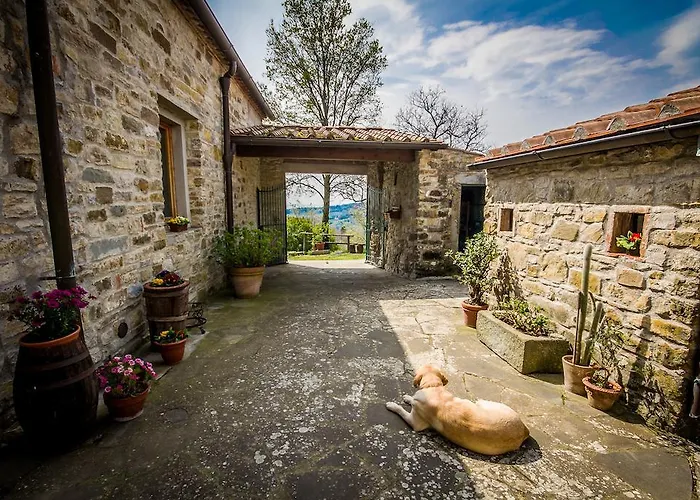 Agriturismo Podere Il Palagio Fiesole photo
