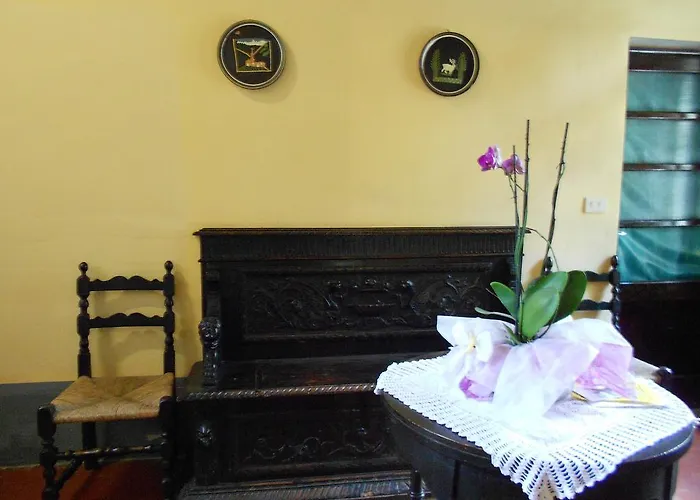 Pensione Villa Elena Forte dei Marmi photo