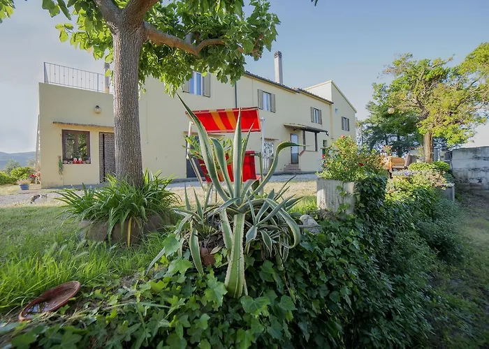 Agriturismo Greppo All'Olivo Villa Donoraticoの写真