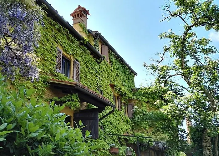 B&B Le Due Volpi Vicchio photo