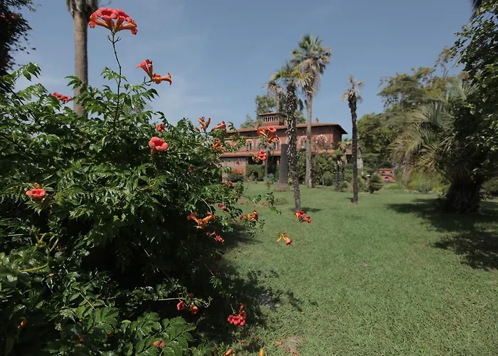 Piaggetta B&B Quiesa photo