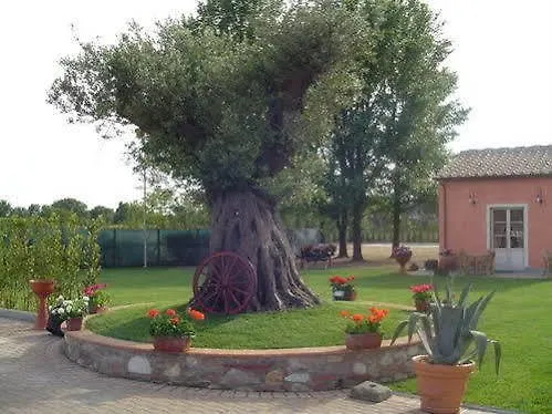 Casal Sant Elena Hotel Spianate photo