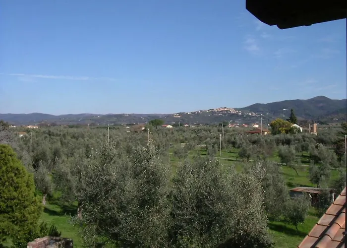 דונוראטיקו Agriturismo Greppo All'Olivo תמונה