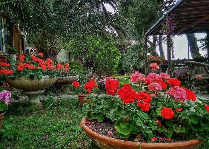 Villino Sabiana Hotel Monte Argentario photo