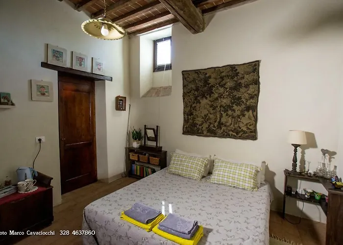 Il Bosso Di Toscana Badia Agnano photo