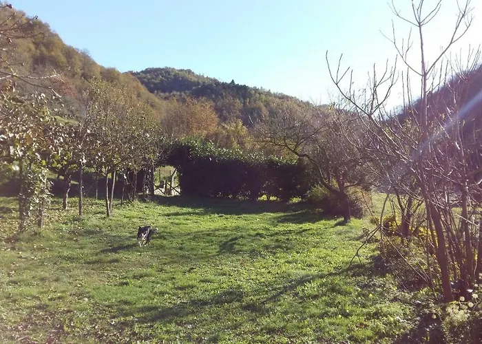 Le Lune Hotel Colla photo